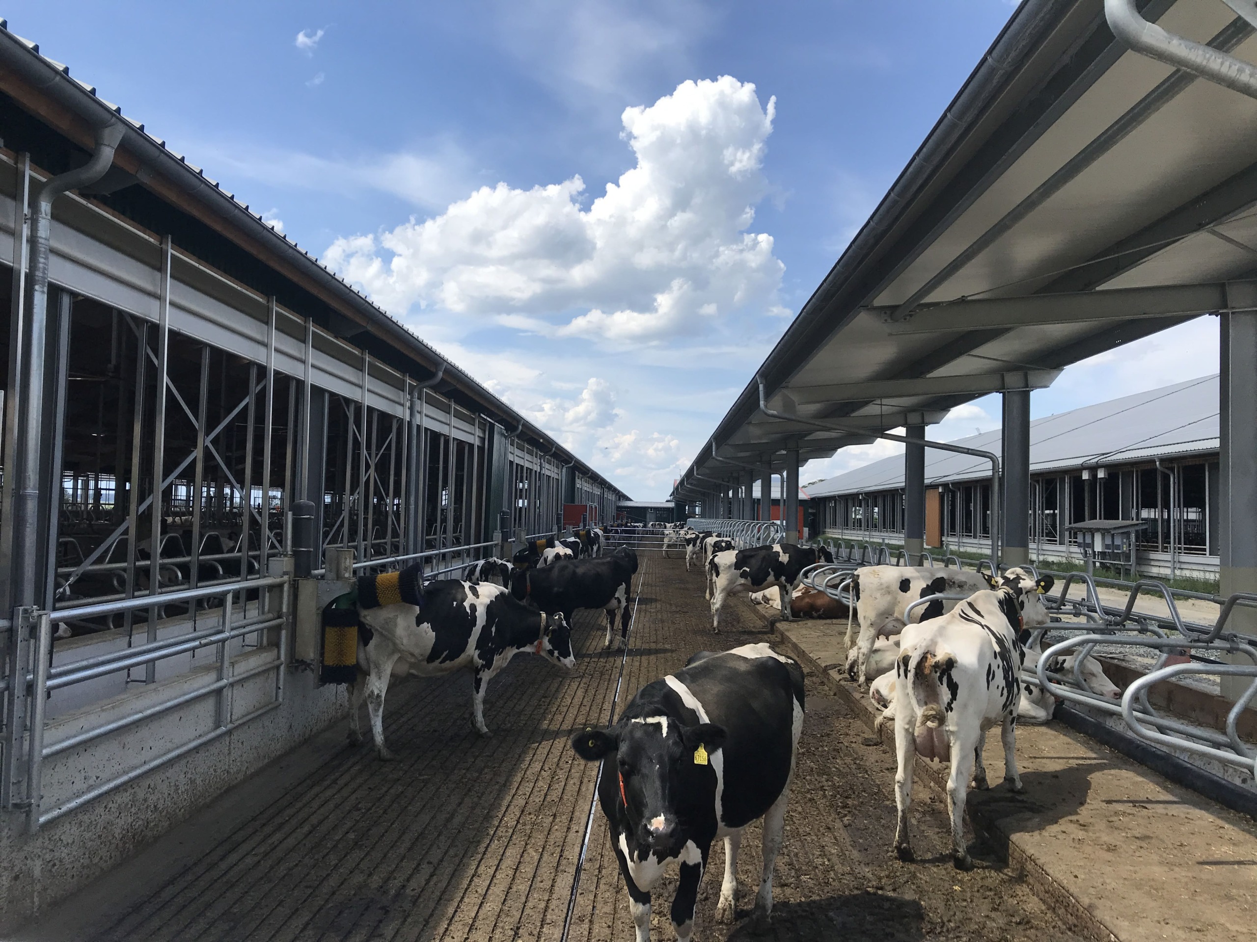 Magellan Rillenboden im Außenlaufgang