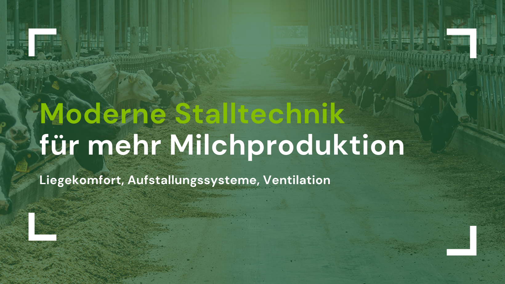 Titelbild - Moderne Stalltechnik für mehr Milchproduktion