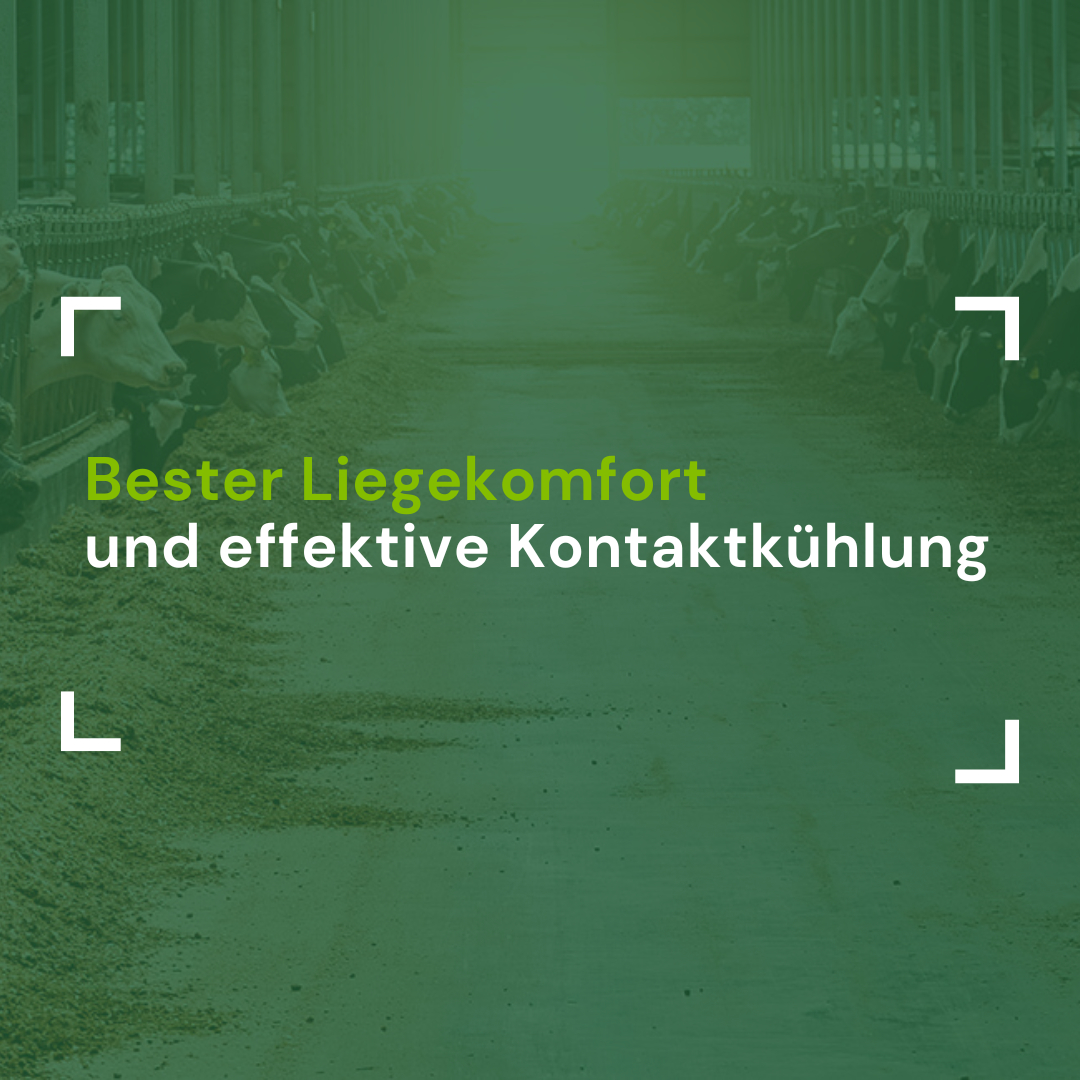 Titelbild Blog - bester Liegekomfort und effektive Kontaktkühlung
