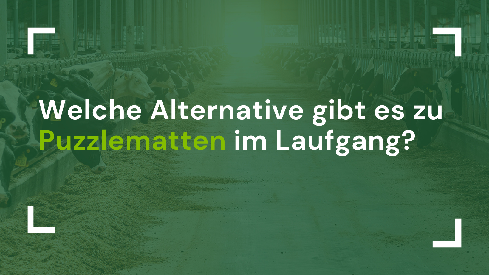 Welche Alternative gibt es zu Puzzlematten im Laufgang?