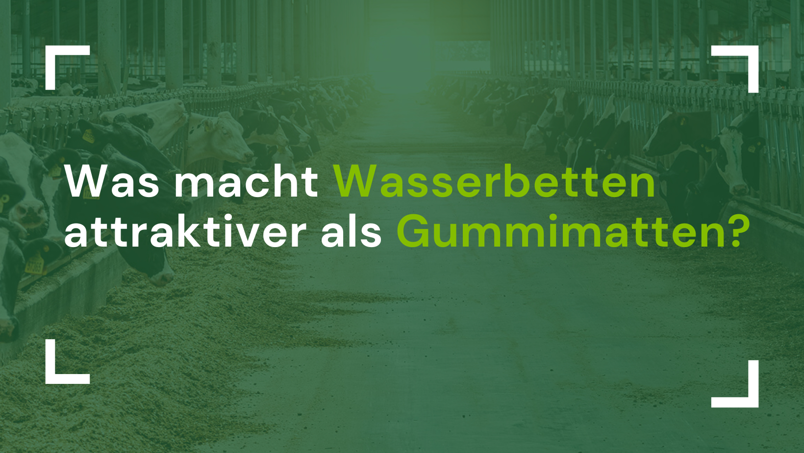 Titelbild Querformat - Was macht Wasserbetten attraktiver als Gummimatten?