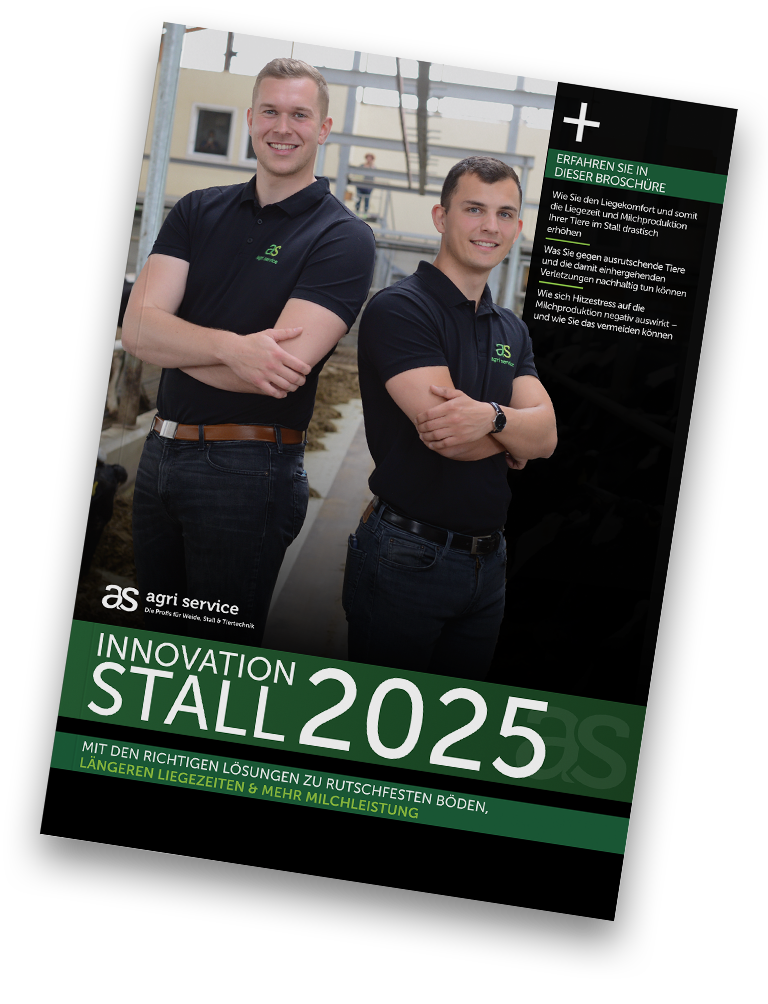 Innovation Stall 2025 Report von außen